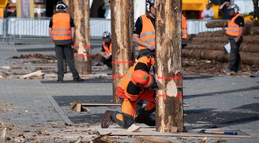 Bsports必一体育|
「汉诺威木匠机械展」世界重大的木料行业盛会(图6) Bsports必一体育|
「汉诺威木匠机械展」世界重大的木料行业盛会(图6)