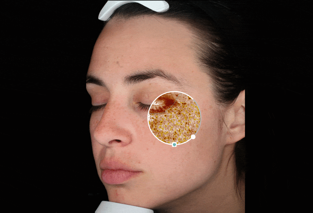 属性与生活2直播怎么玩 属性与生活2直播方法详解-b体育(图1) Bsports必一体育