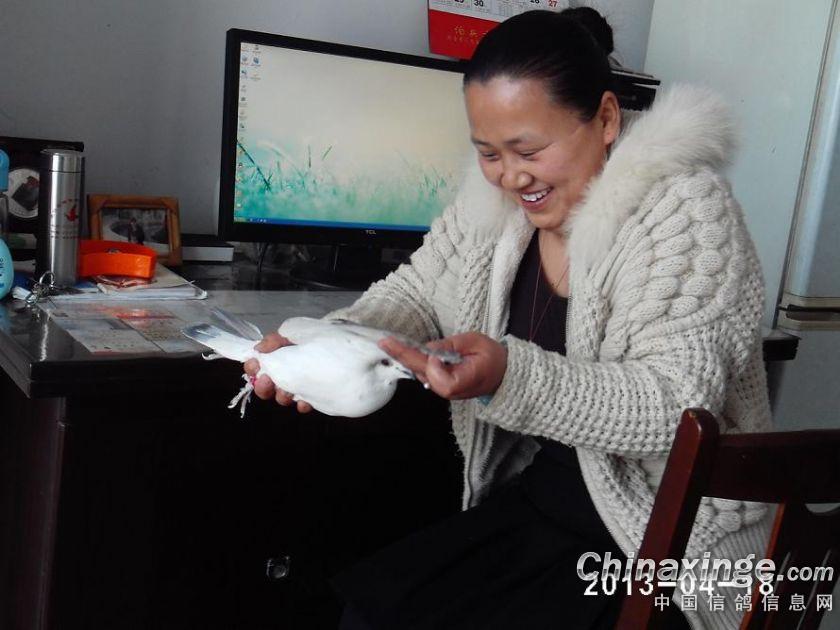 Bsports必一体育-阴阳师猫掌柜技能怎么样 猫掌柜值得培养吗(图2) Bsports必一体育